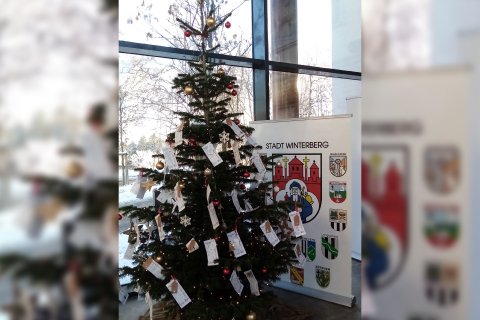 „Gemeinsam Freude verschenken“ mit dem Winterberger Weihnachts-Wunschbaum