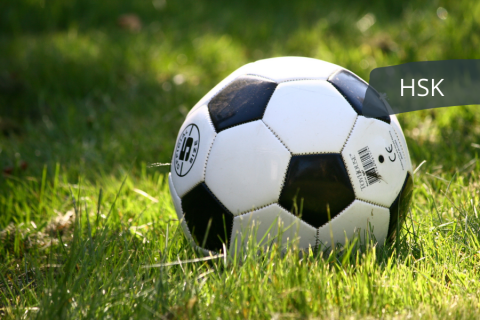 Fussball: Hochsauerlandkreis setzt Spielbetrieb aus