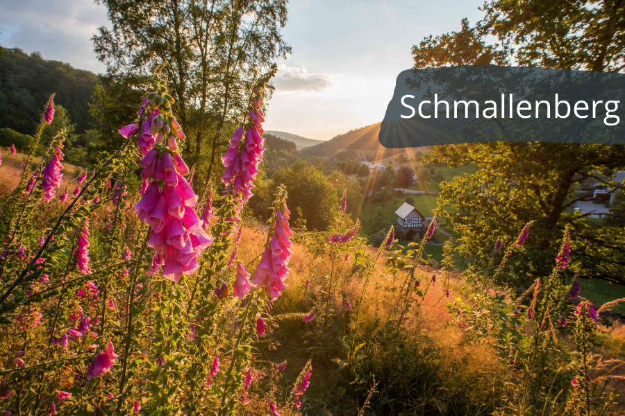 Schmallenberg Tourismus
