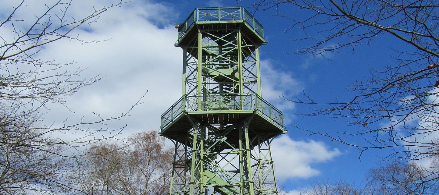 Wilzenberg-Turm - Hauptbild