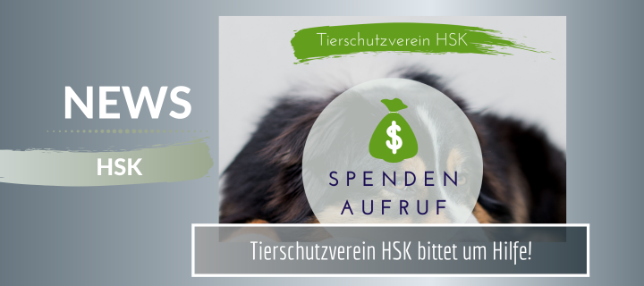 Spendenaufruf Tierschutzverein HSK